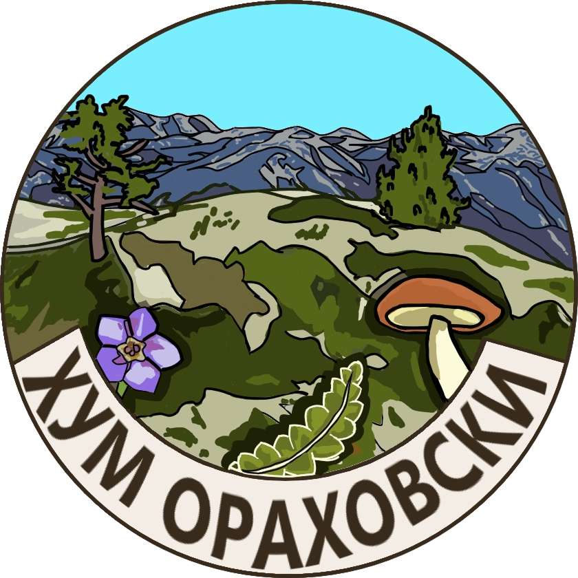 Hum Orahovski