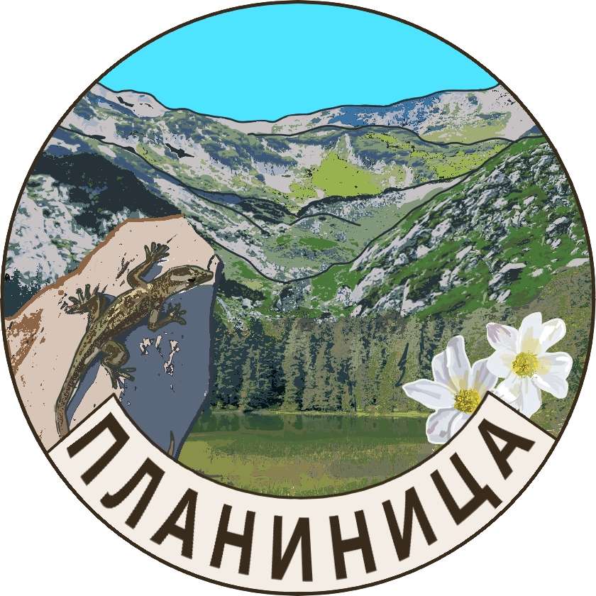 Planinica, Durmitor