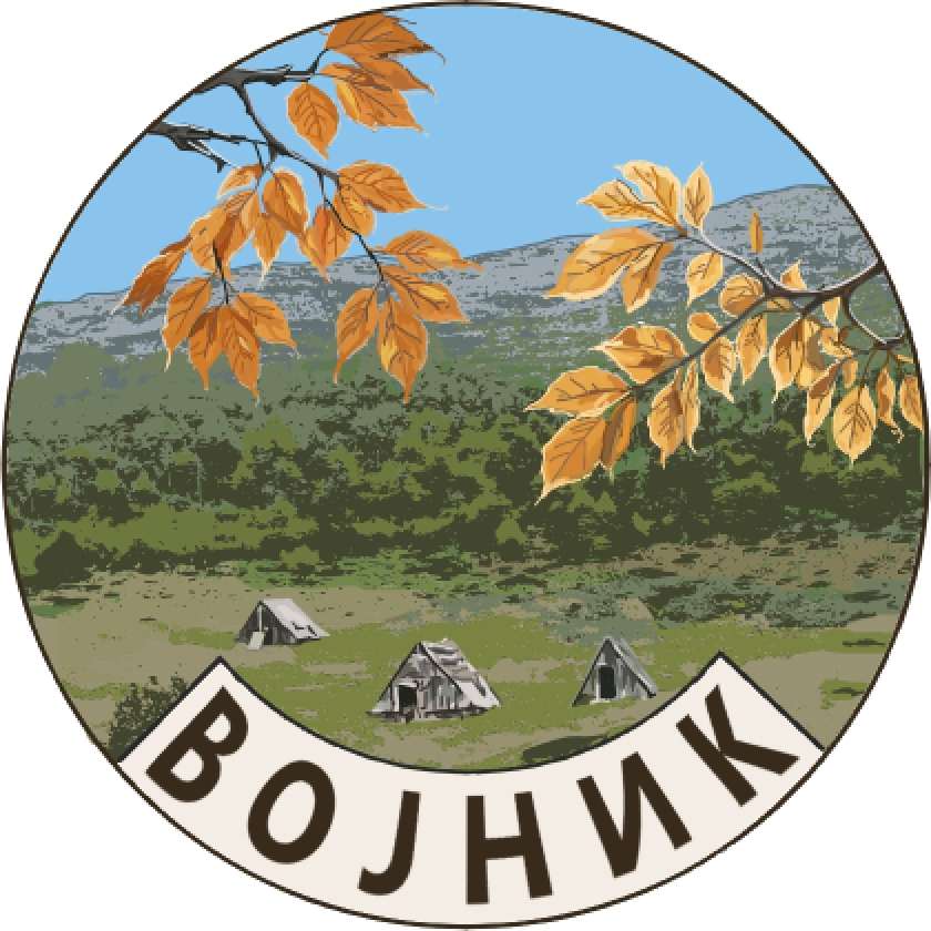 Vojnik